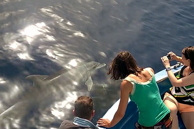 Fishing, Snorkelling & Dolphin Boat Tour - Fishing Along the Coast