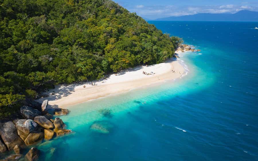 Fitzroy Island: Full-Day Ferry & Snorkel Safari Guided Tour - Key points to know before booking