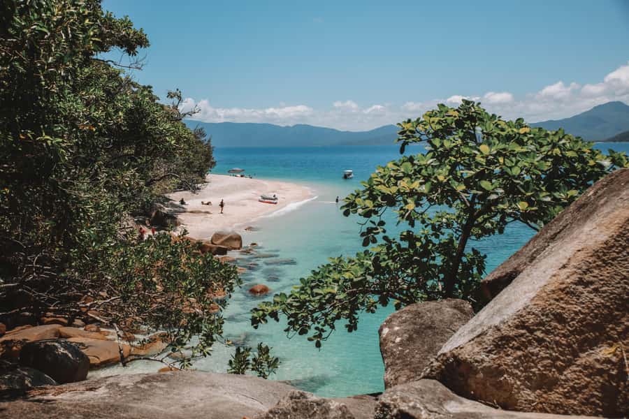 Fitzroy Island: Full-Day Ferry & Snorkel Safari Guided Tour - Rainforest trails and views above the beach
