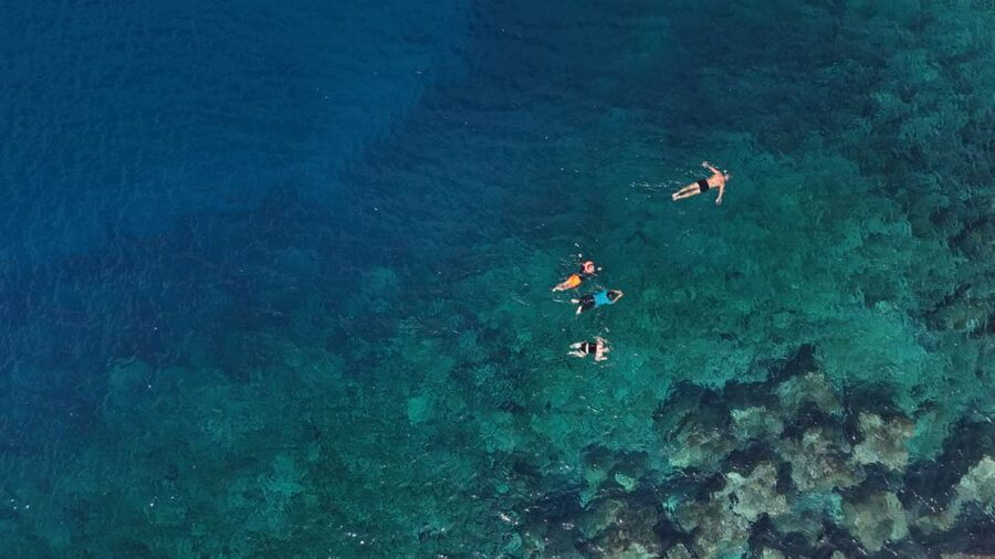 Flamingo Beach: Guided SUP and Snorkeling experience - Photos, videos, and the value of $69
