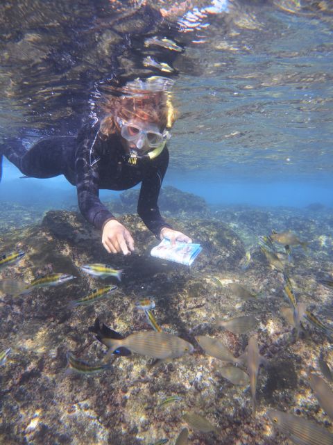 Flamingo Beach: Guided SUP and Snorkeling experience - Learning to paddle instead of simply being carried