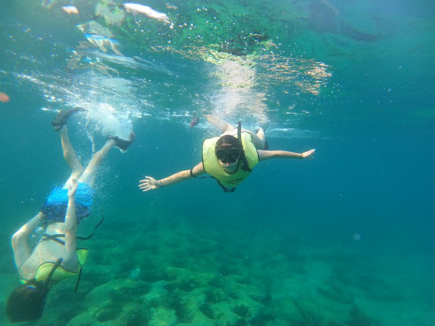 Fort Lauderdale: Guided Snorkeling Reef Tour and Lesson - Why this short Fort Lauderdale reef outing works