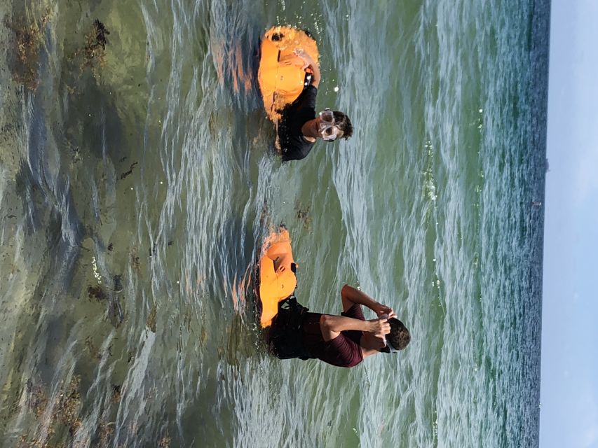 Fort Lauderdale: Ultimate SEABOB Snorkel Rental & Excursion - Key points to know before you book