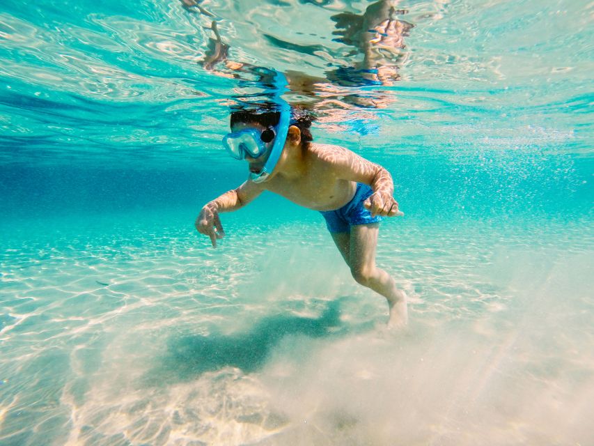 Fort Walton Beach: Morning Dolphin Cruise with Snorkel Stop - A morning on the Emerald Coast