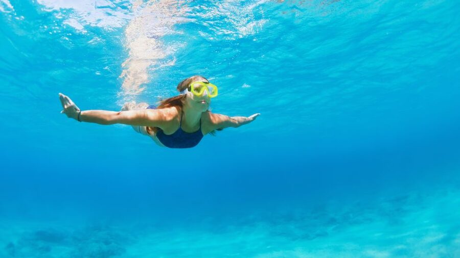 Fort Walton Beach: Morning Dolphin Cruise with Snorkel Stop - Practical advice for a smoother morning