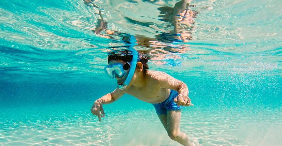 Fort Walton Beach: Morning Dolphin Cruise with Snorkel Stop - The catamaran ride before the snorkel stop