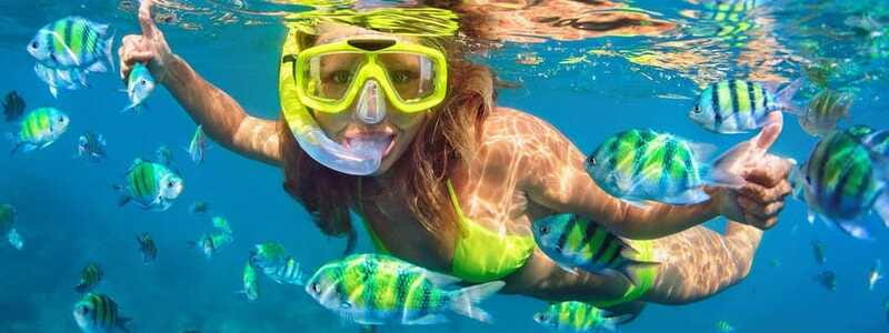 Fort Walton: Dolphin Discovery and Snorkeling Cruise - How to decide before booking