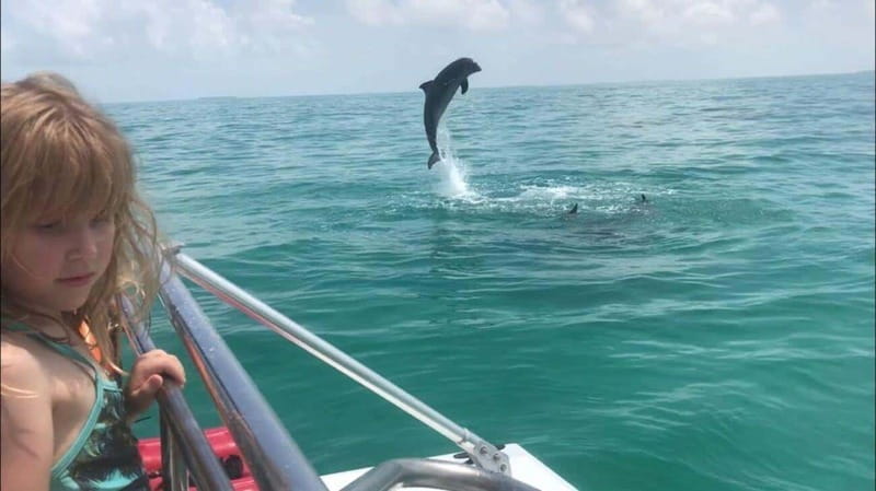 Fort Walton: Dolphin Discovery and Snorkeling Cruise - Snorkeling in the emerald water