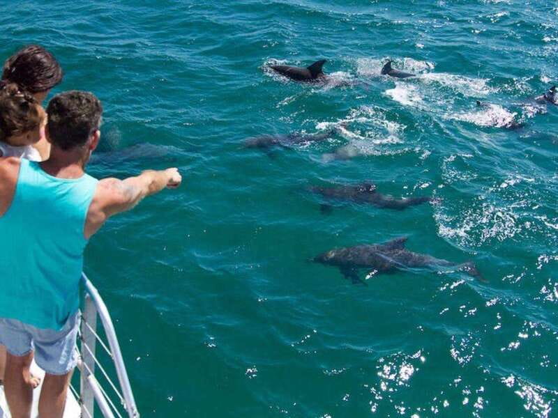 Fort Walton: Dolphin Discovery and Snorkeling Cruise - Who will enjoy this cruise most