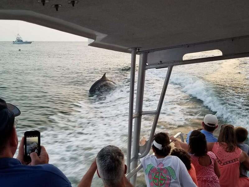 Fort Walton: Dolphin Discovery and Snorkeling Cruise - Watching dolphins without a guarantee