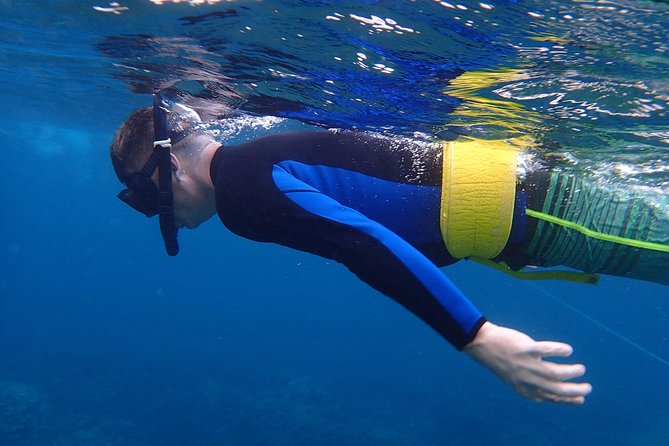 Four Winds Molokini Snorkeling Tour from Maalaea Harbor - Boarding at Maalaea Harbor at 7:00 a.m.