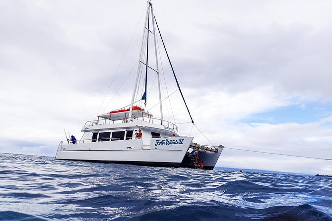 Four Winds Molokini Snorkeling Tour from Maalaea Harbor - Nearly two hours at Molokini Crater