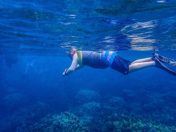 Four Winds Molokini Snorkeling Tour from Maalaea Harbor - The glass-bottom room helps families enjoy the reef