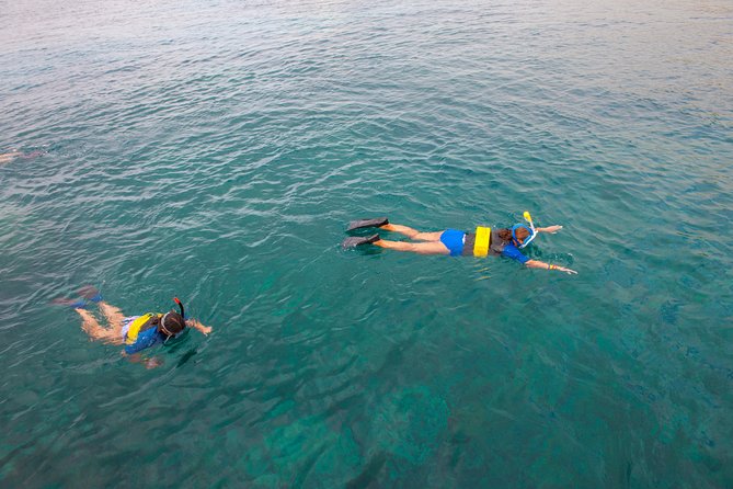 Four Winds Molokini Snorkeling Tour from Maalaea Harbor - Who should choose this Four Winds outing