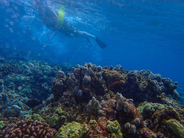 Four Winds Molokini Snorkeling Tour from Maalaea Harbor - Breakfast, Haleakala views, and the ride south
