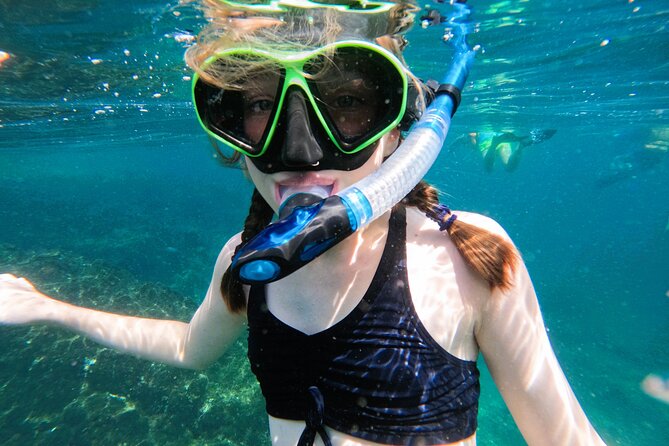 From Abu Dhabi: Snorkeling with Turtles in Fujairah with BBQ - Snoopy Island: your first look underwater