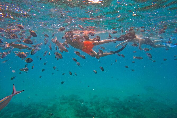 From Abu Dhabi: Snorkeling with Turtles in Fujairah with BBQ - The boat comforts that matter after swimming