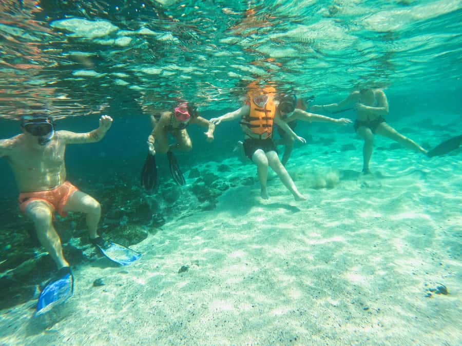 From Abu Dhabi: Snorkeling with Turtles in Fujairah with BBQ - Is $217 a fair price?