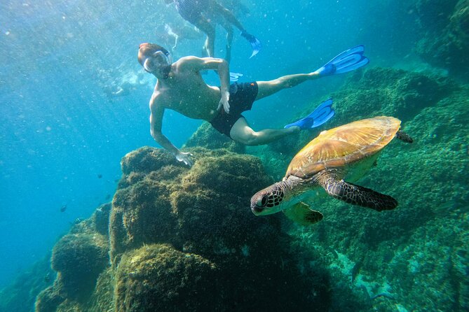 From Abu Dhabi: Snorkeling with Turtles in Fujairah with BBQ - The three-hour ride from Abu Dhabi