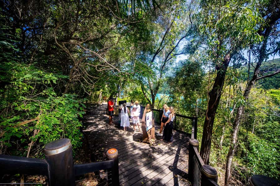 From Airlie Beach: Hook Island Cultural Tour, Sail & Snorkel - The return sail with sparkling wine and antipasto