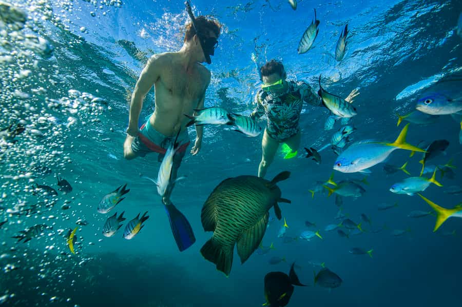 From Airlie Beach: Hook Island Cultural Tour, Sail & Snorkel - What $180 includes, and where the value sits