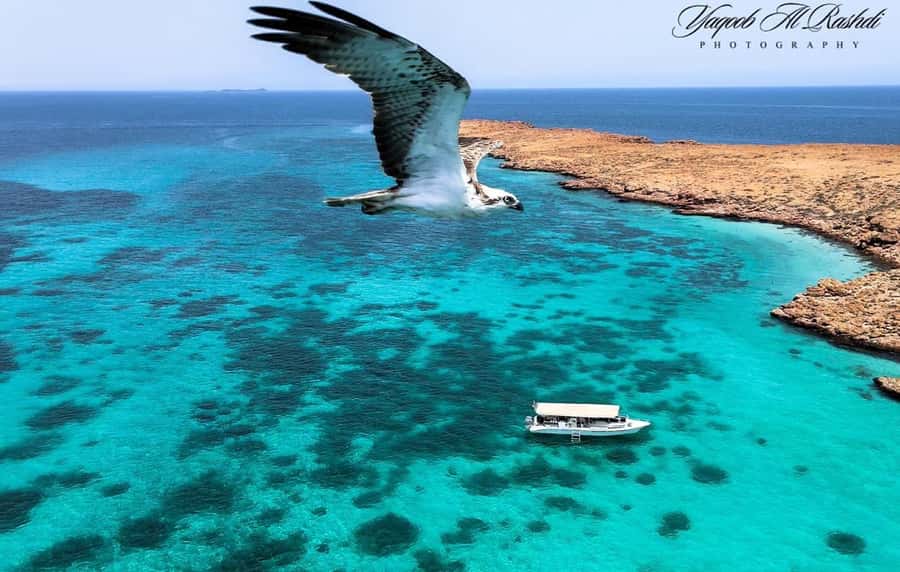 From Al-Seeb: Dimaniyat Islands Boat Trip with Snorkeling - Key points to know before you book