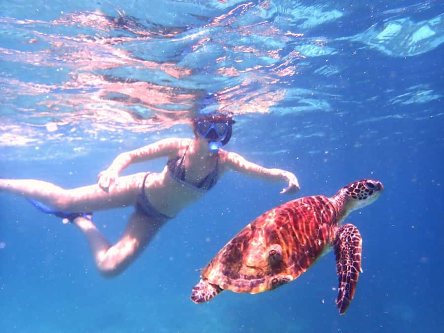From Al-Seeb: Dimaniyat Islands Boat Trip with Snorkeling - My verdict on the Dimaniyat Islands trip