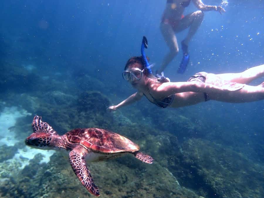 From Al-Seeb: Dimaniyat Islands Boat Trip with Snorkeling - The Black Tip site adds a little suspense