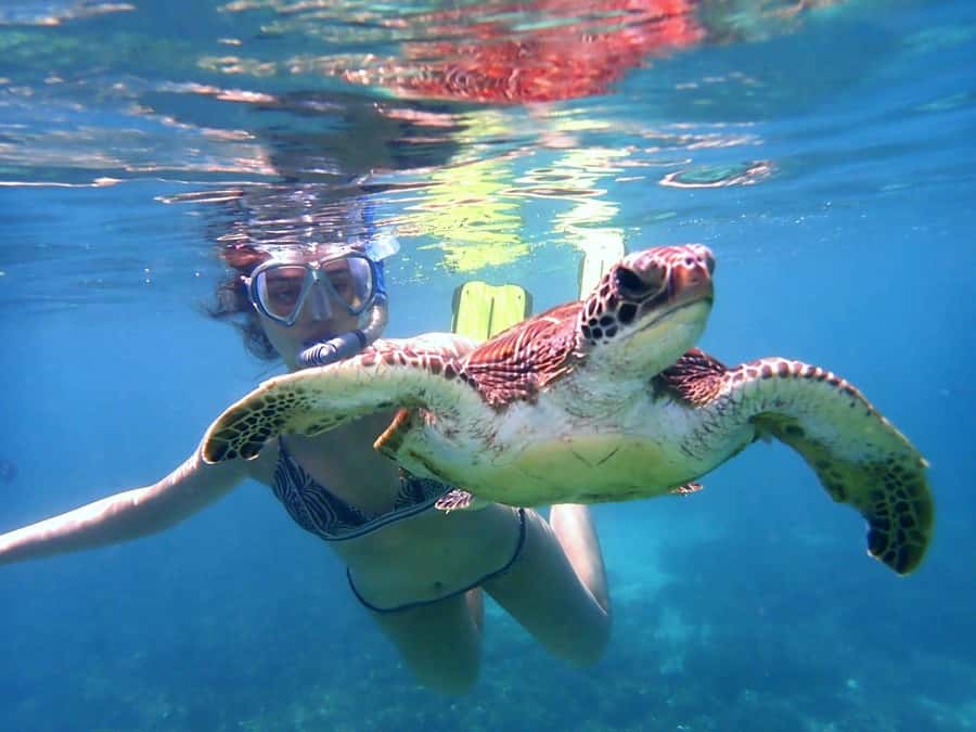 From Al-Seeb: Dimaniyat Islands Boat Trip with Snorkeling - Guides make a difference for nervous swimmers