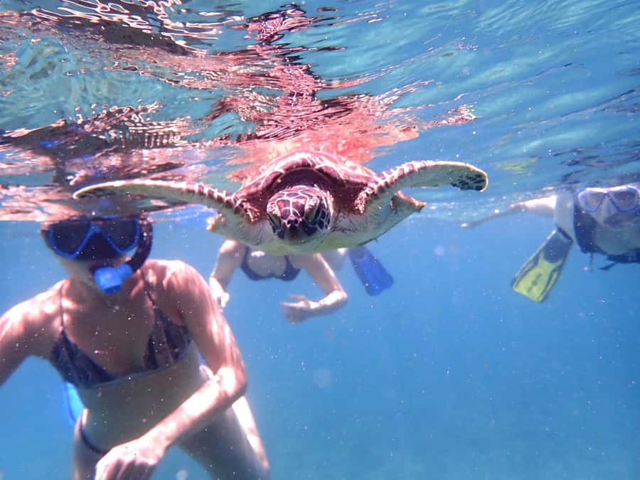 From Al-Seeb: Dimaniyat Islands Boat Trip with Snorkeling - Timing, comfort, and what to pack