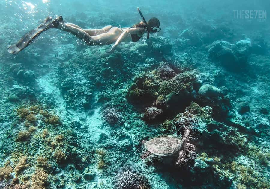 From Bali: 2-Day Private Gili Island Snorkel Tour with Hotel - What this two-day Gili trip is really like