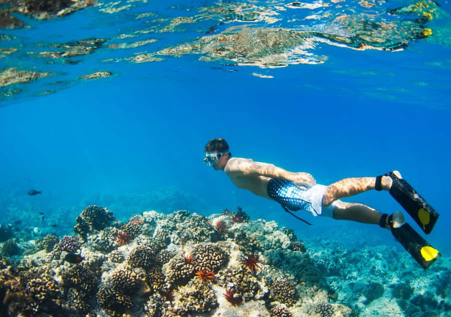 From Bali: 2-Day Private Gili Island Snorkel Tour with Hotel - What the snorkeling is best suited for