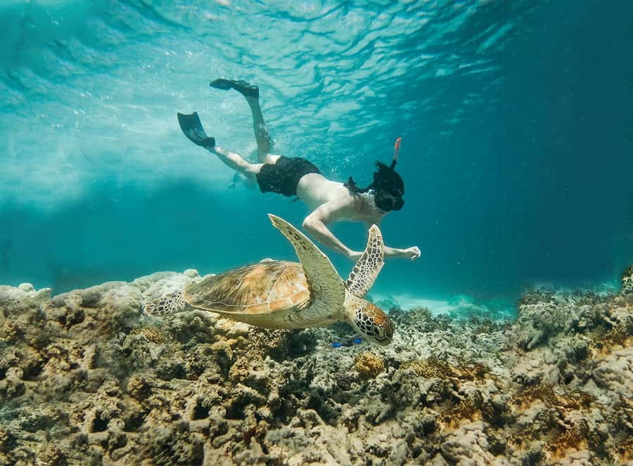 From Bali: 2D1N Gili Island Private Snorkel Boat with Hotel - Who should choose this Gili Island experience
