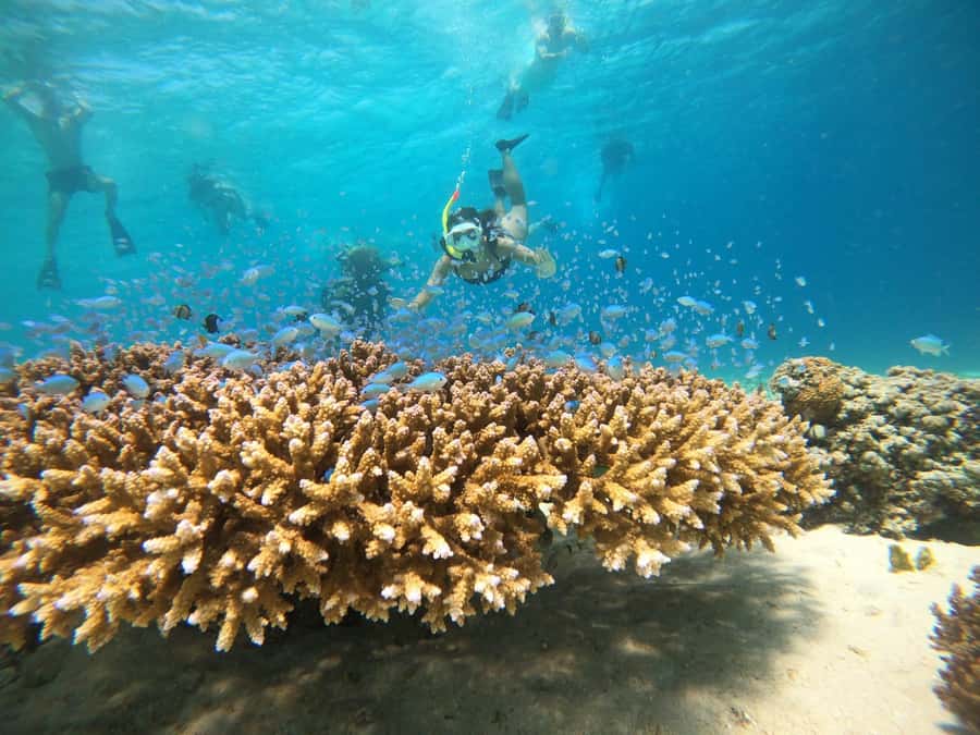From Bali: 2D1N Gili Island Private Snorkel Boat with Hotel - Arriving on Gili Trawangan
