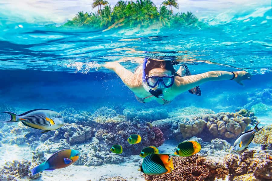 From Bali: 3 Snorkeling Spots Tour to Lembongan and Penida - Key points to know before booking