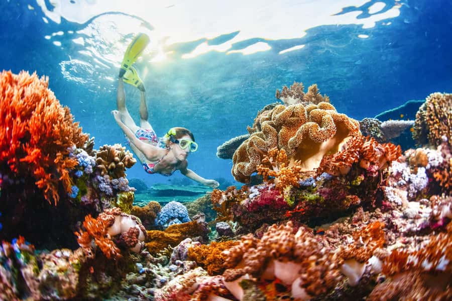 From Bali: 3 Snorkeling Spots Tour to Lembongan and Penida - Why this Nusa Islands day is worth considering