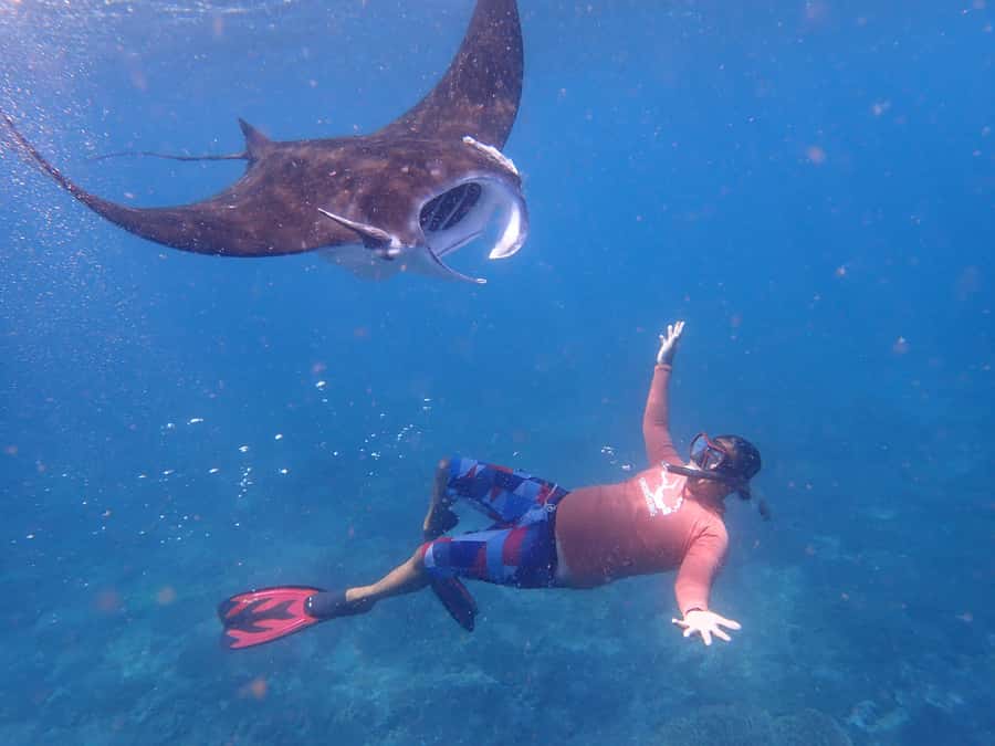 From Bali: 3 Snorkeling Spots Tour to Lembongan and Penida - Lunch beside the mangroves