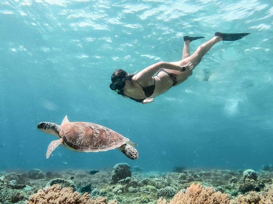 From Bali: Gili Islands Private Snorkeling Day Trip - Key points at a glance