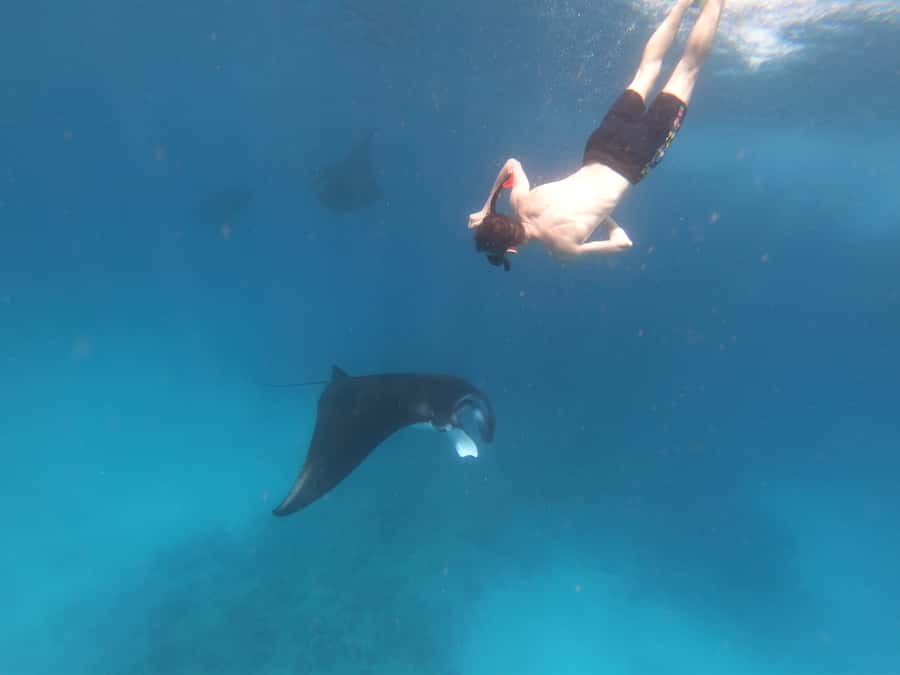 From Bali: Lembongan & Penida 2-Day Tour with Snorkeling - Why this two-island trip works
