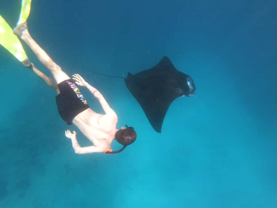 From Bali: Lembongan & Penida 2-Day Tour with Snorkeling - Three snorkeling stops and the manta-ray chance