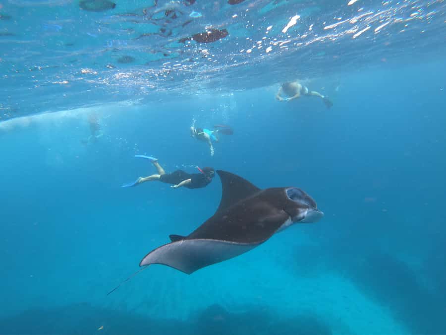 From Bali: Lembongan & Penida 2-Day Tour with Snorkeling - The Penida timing issue to consider