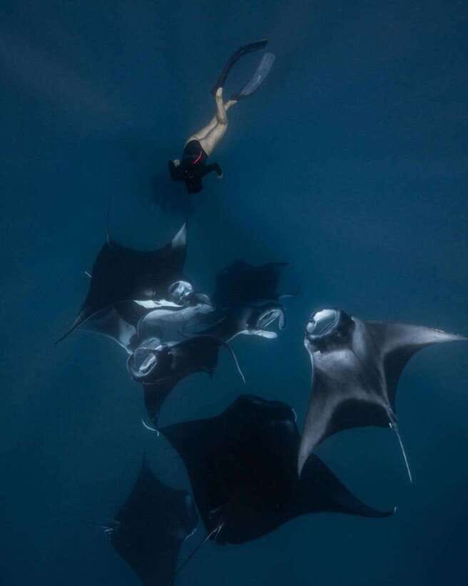From Bali: Nusa Penida Day Tour & Snorkeling - The 6:00 am start and Sanur fast boat
