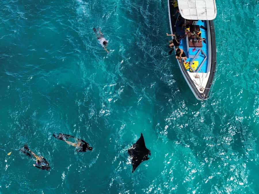 From Bali: Nusa Penida Full Day Private Snorkeling Tour - At a glance: what your $85 includes