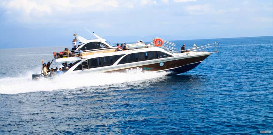 From Bali: Nusa Penida Full Day Private Snorkeling Tour - Manta Bay: the famous stop with the biggest disclaimer