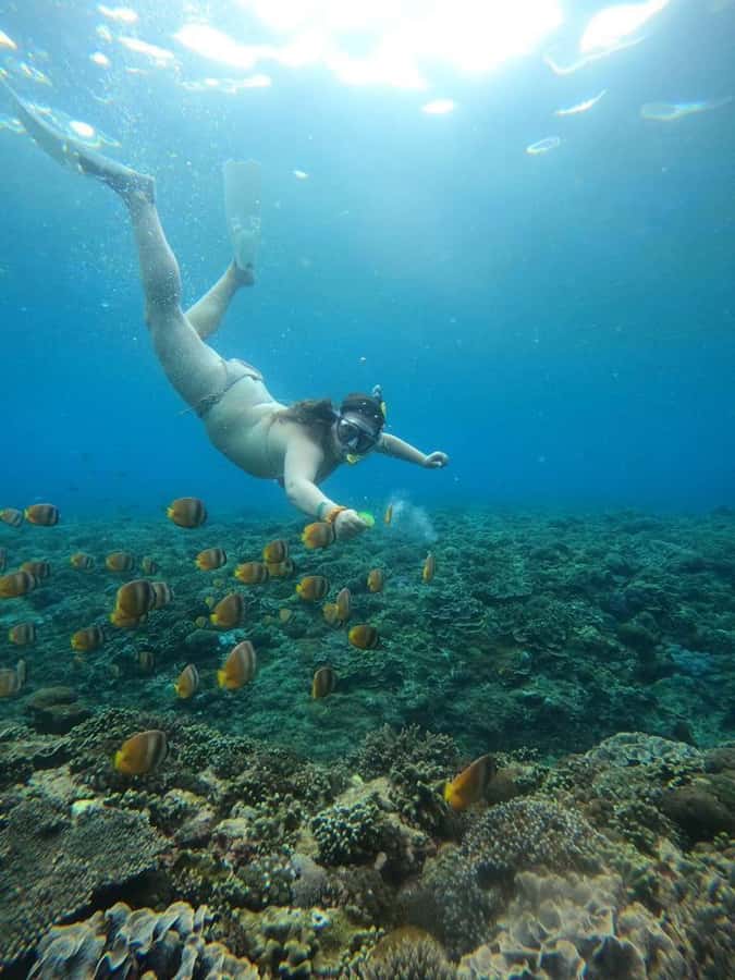 From Bali: Nusa Penida Full Day Private Snorkeling Tour - Toyapakeh Wall: a different kind of snorkeling
