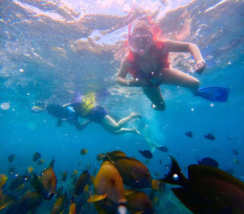 From Bali: Nusa Penida Full Day Tour and Snorkeling 3 Spots - Key points to know before booking