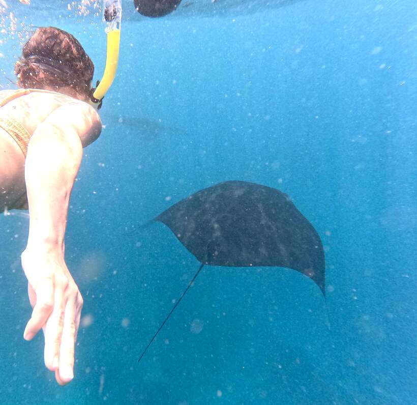 From Bali: Nusa Penida Full Day Tour and Snorkeling 3 Spots - A long day that joins land and sea