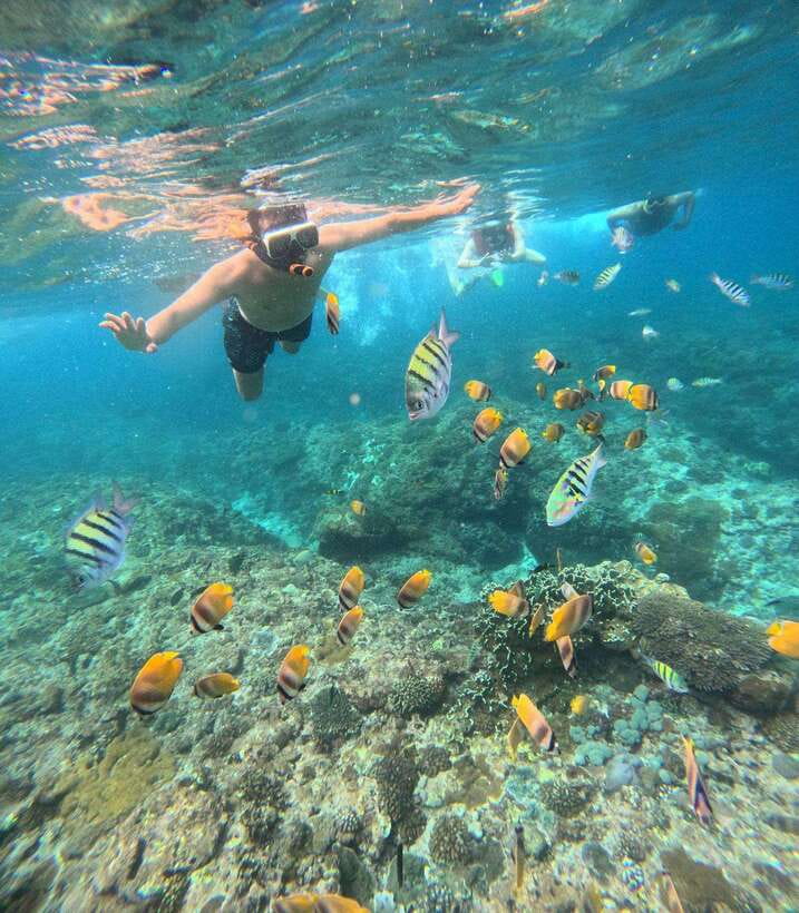 From Bali: Nusa Penida Full Day Tour and Snorkeling 3 Spots - How to make the most of the 6 to 10 hours
