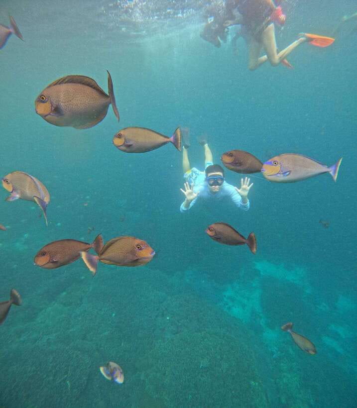 From Bali: Nusa Penida Full Day Tour and Snorkeling 3 Spots - Should you book this Nusa Penida tour?