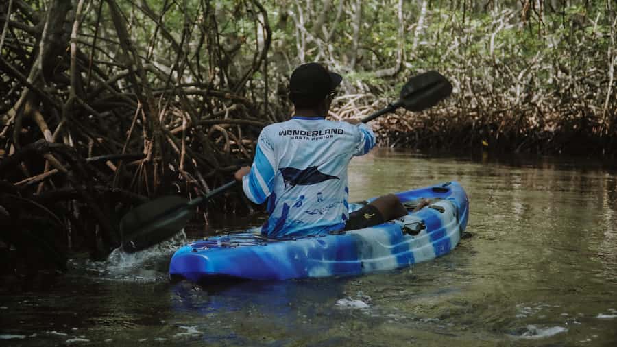 From Bali: Nusa Penida Snorkel 3 Spots w/ GoPro & Kayak tour - Manta Bay and the limits of wildlife encounters